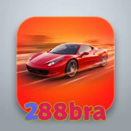 288bra