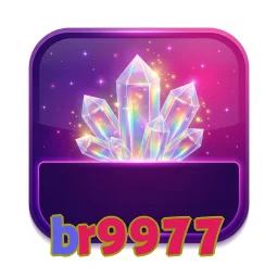 br9977